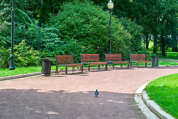 Park Renovations